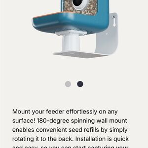 Blue Bird Wall Mount